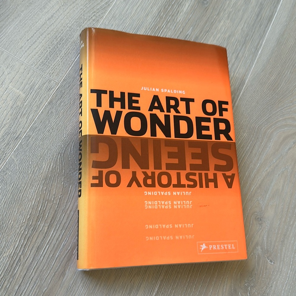 The Art of Wonder A History of Seeing by Julian Spalding book
